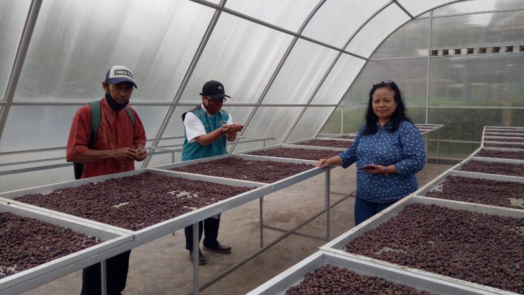Evaluasi Program Kerja Sama IDH dan PT Asal Jaya dalam Pengembangan Kopi Dampit Kabupaten Malang img 20201111 wa0014