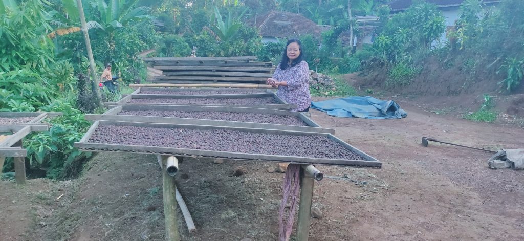 Evaluasi Program Kerja Sama IDH dan PT Asal Jaya dalam Pengembangan Kopi Dampit Kabupaten Malang oppo 1026