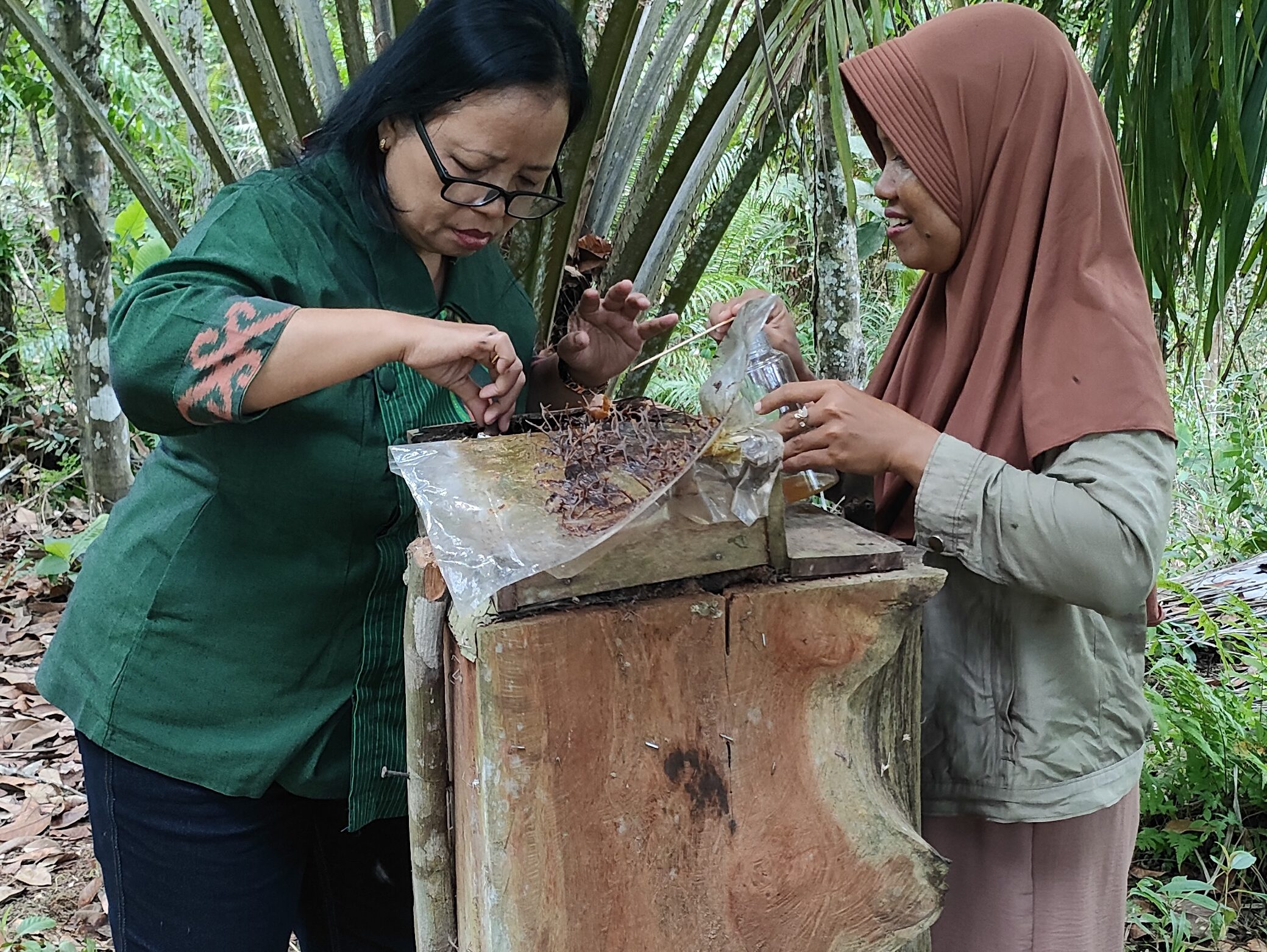 End Line Study Proyek GRASS: Mendorong Pertanian Berkelanjutan bagi Petani Kecil di Kapuas Hulu oplus 34